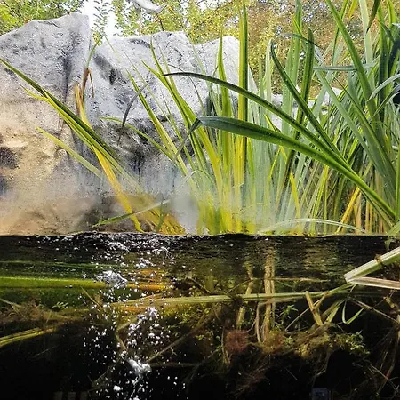 Aux Trois Petits Cochons דירה הוטון