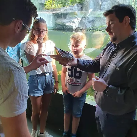 דירה Aux Trois Petits Cochons